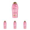 19.5 Fl Oz (Pack of 4)