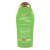 Tea Tree Mint_Old